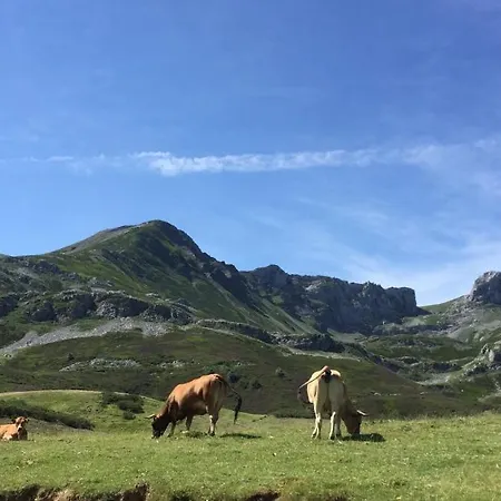 Rural Los Arguellos Lugueros