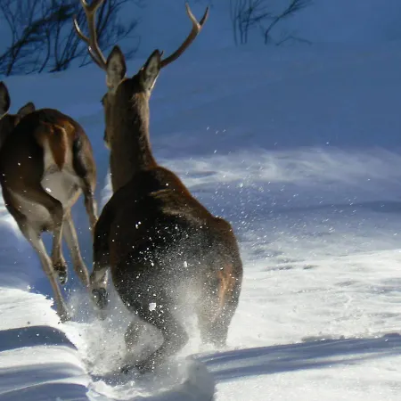 Rural Los Arguellos Hotel 2*