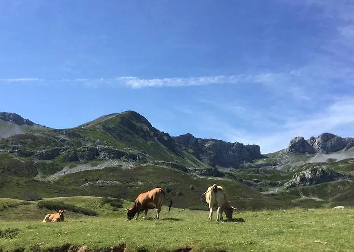 Rural Los Arguellos Lugueros
