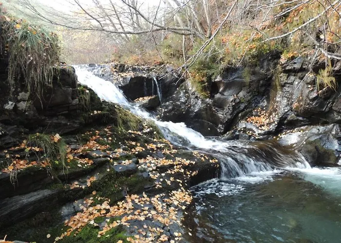 Rural Los Arguellos Lugueros