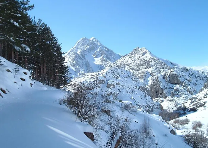 Szálloda Rural Los Arguellos 2*